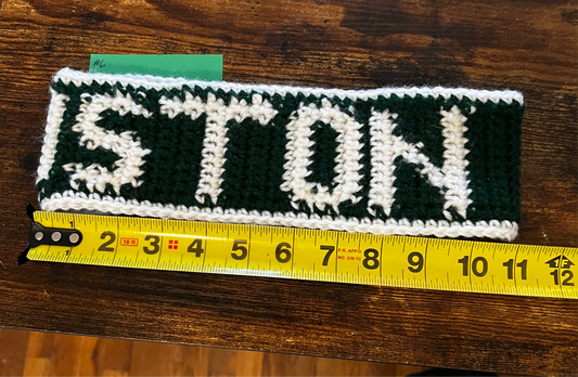 Boston Headband #6