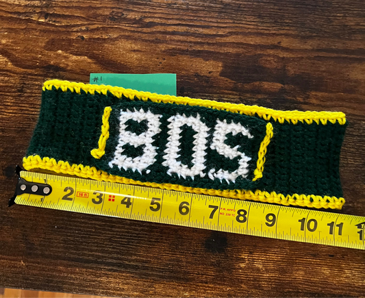 Boston Headband #1